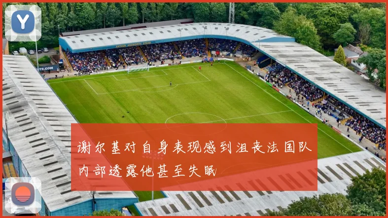 谢尔基对自身表现感到沮丧法国队内部透露他甚至失眠