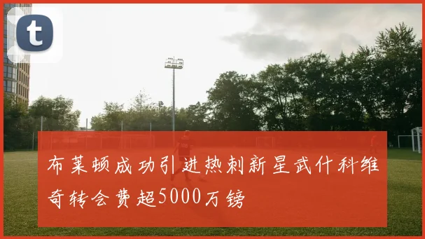 布莱顿成功引进热刺新星武什科维奇转会费超5000万镑